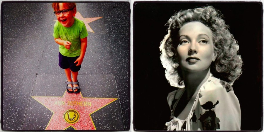 900px x 450px - Charlie's Hollywood Star-of-the-Week: Ann Sothern - Cinephiled